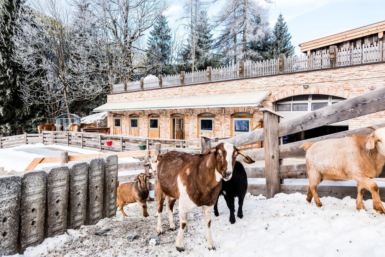 Peakini Farmhaus Vila Untertauern Exterior foto