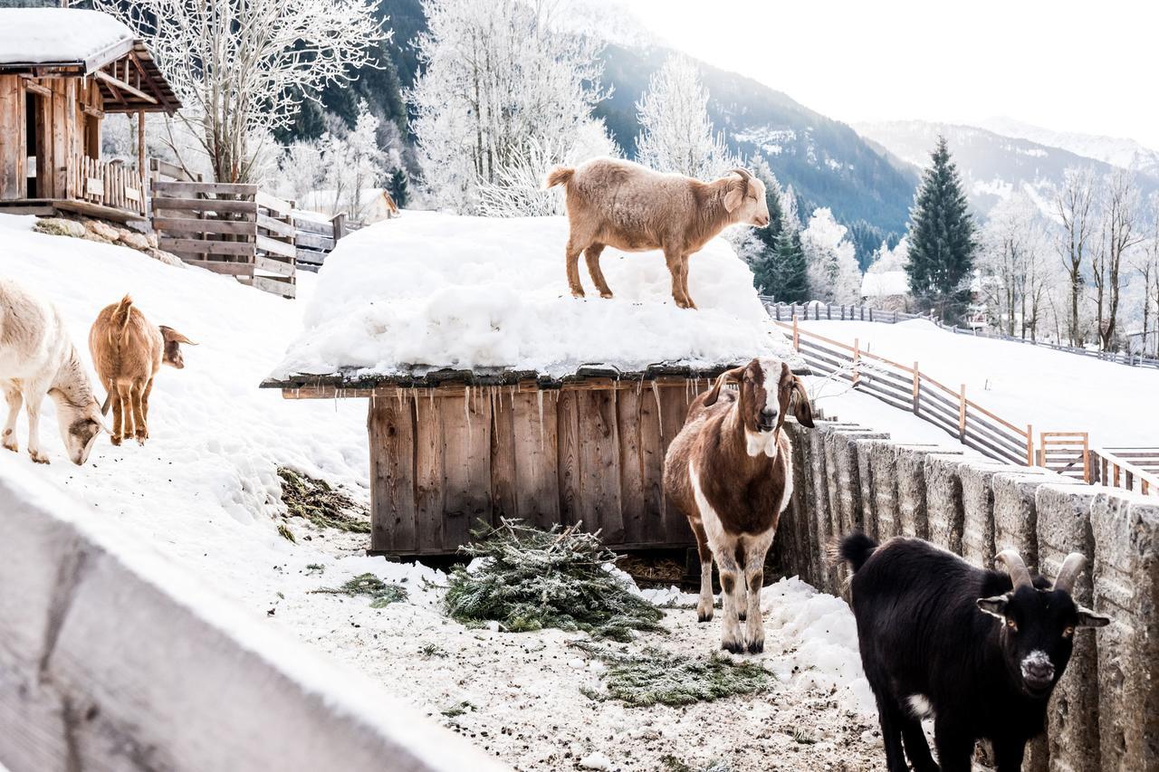 Peakini Farmhaus Vila Untertauern Exterior foto